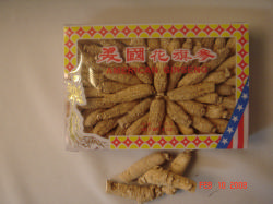 americaginseng